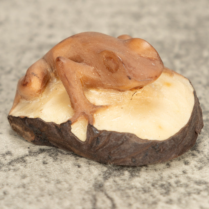 Vintage Poison Dart Tagua Nut Carving