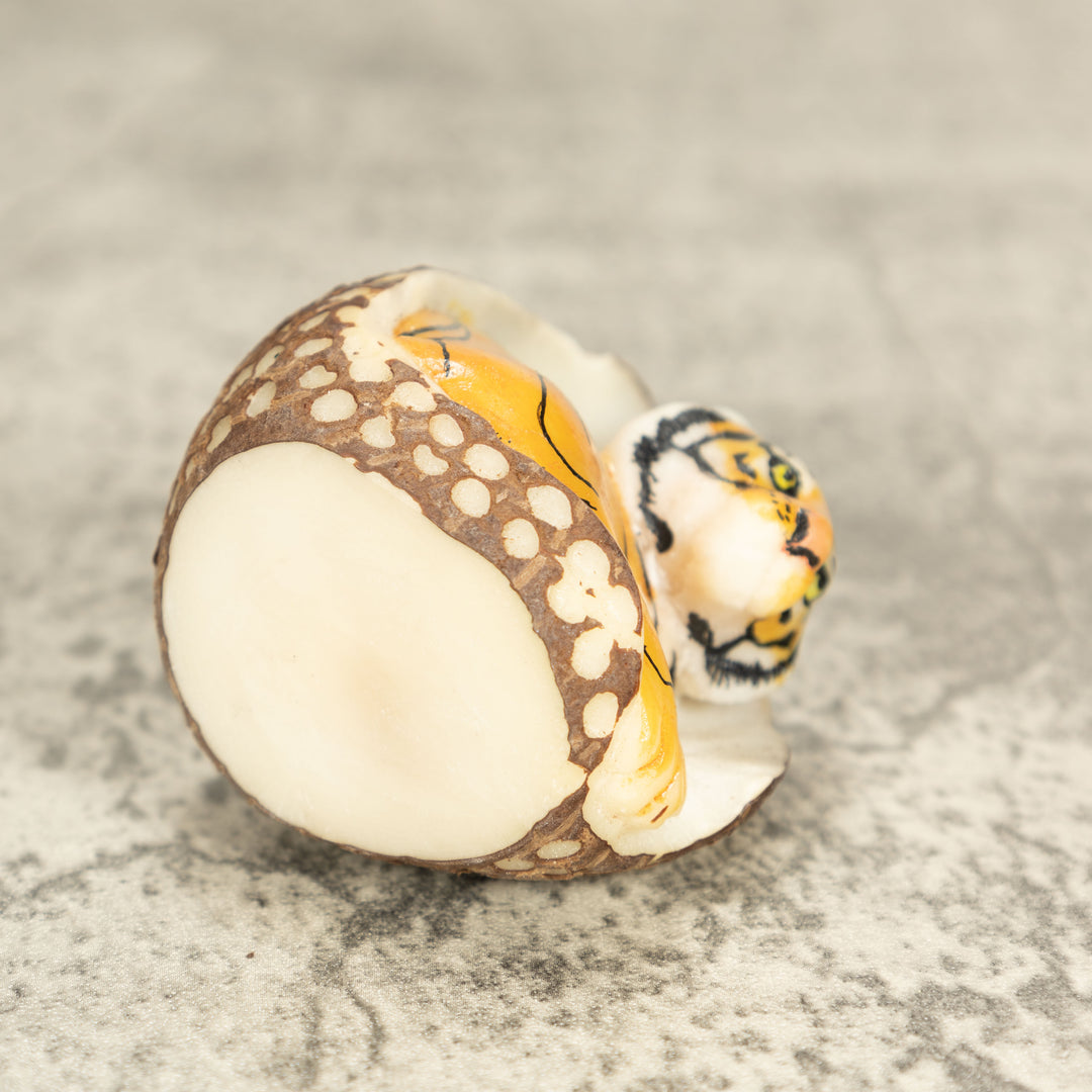 Bengal Tiger Cat Tagua Nut Carving