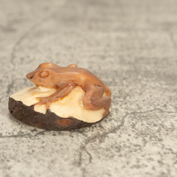 Vintage Poison Dart Tagua Nut Carving