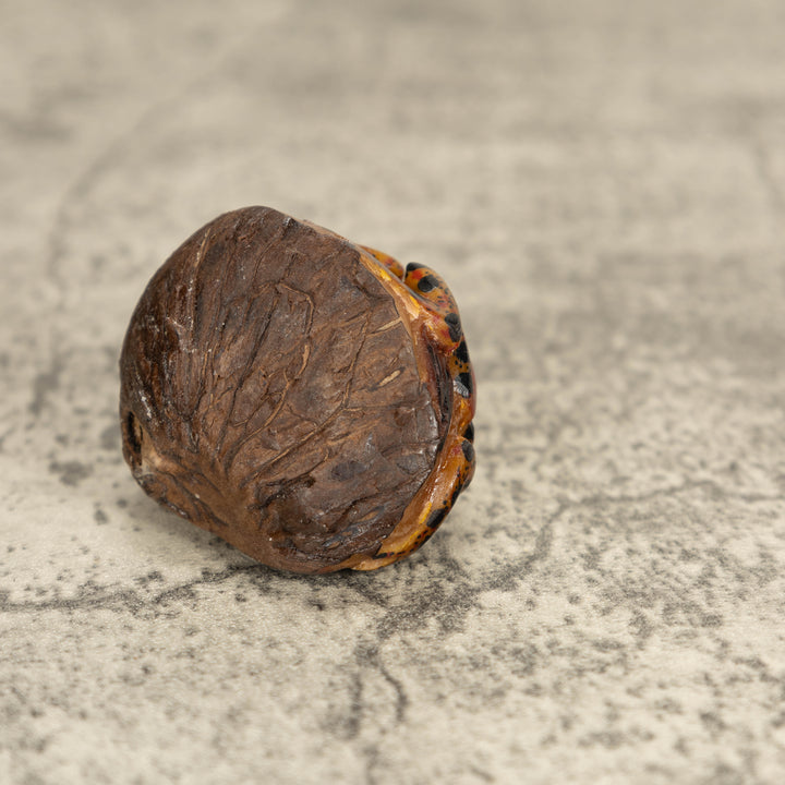 Vintage Poison Dart Tagua Nut Carving