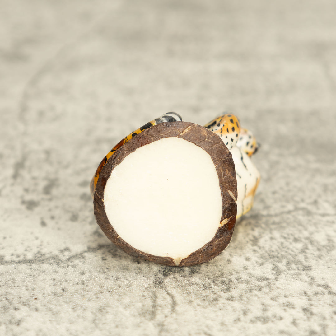 Jaguar Cat Tagua Nut Carving