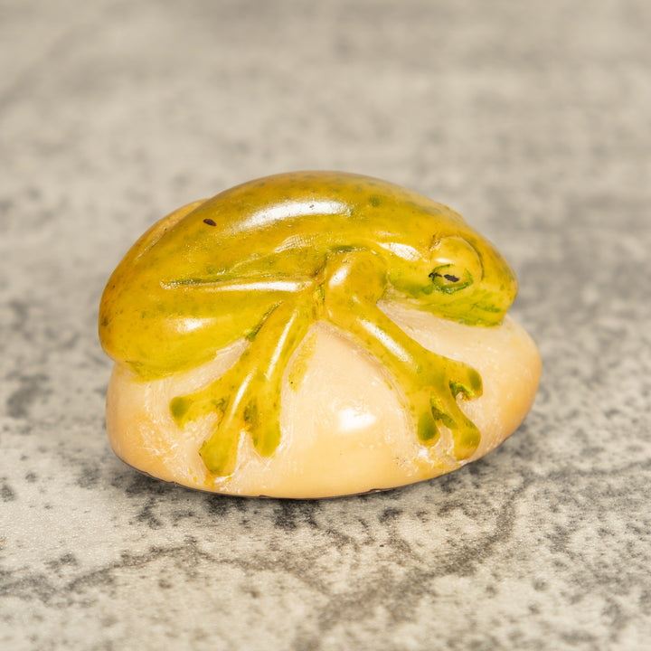 Vintage Poison Dart Tagua Nut Carving