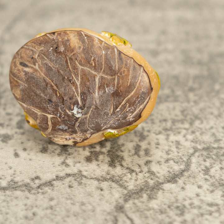 Vintage Poison Dart Tagua Nut Carving