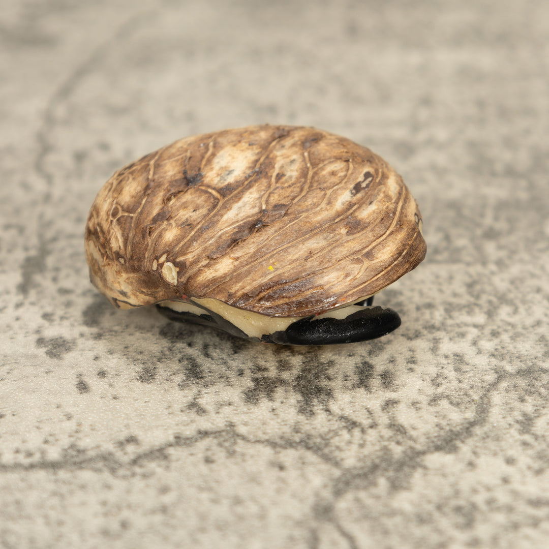 Vintage Poison Dart Tagua Nut Carving