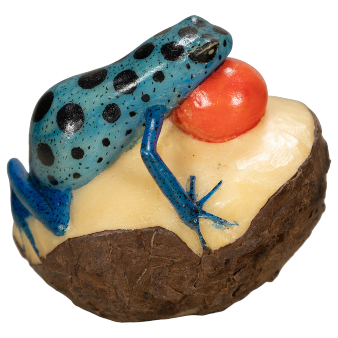 Blowthroat Poison Dart Frog Tagua Nut Carving