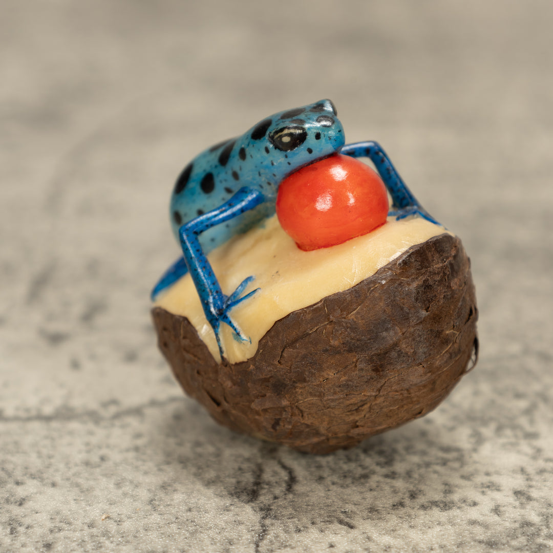 Blowthroat Poison Dart Frog Tagua Nut Carving