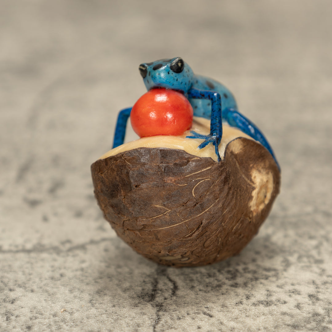 Blowthroat Poison Dart Frog Tagua Nut Carving