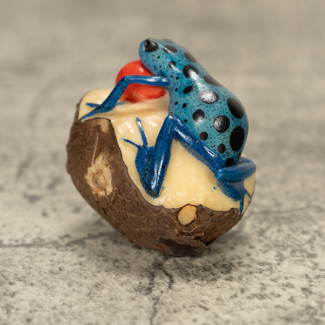 Blowthroat Poison Dart Frog Tagua Nut Carving