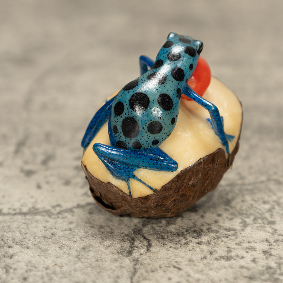Blowthroat Poison Dart Frog Tagua Nut Carving