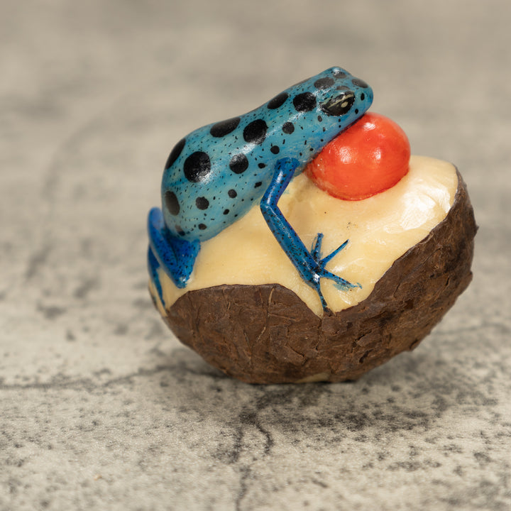 Blowthroat Poison Dart Frog Tagua Nut Carving