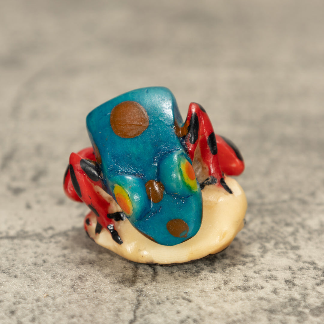 Poison Dart Frog Tagua Nut Carving