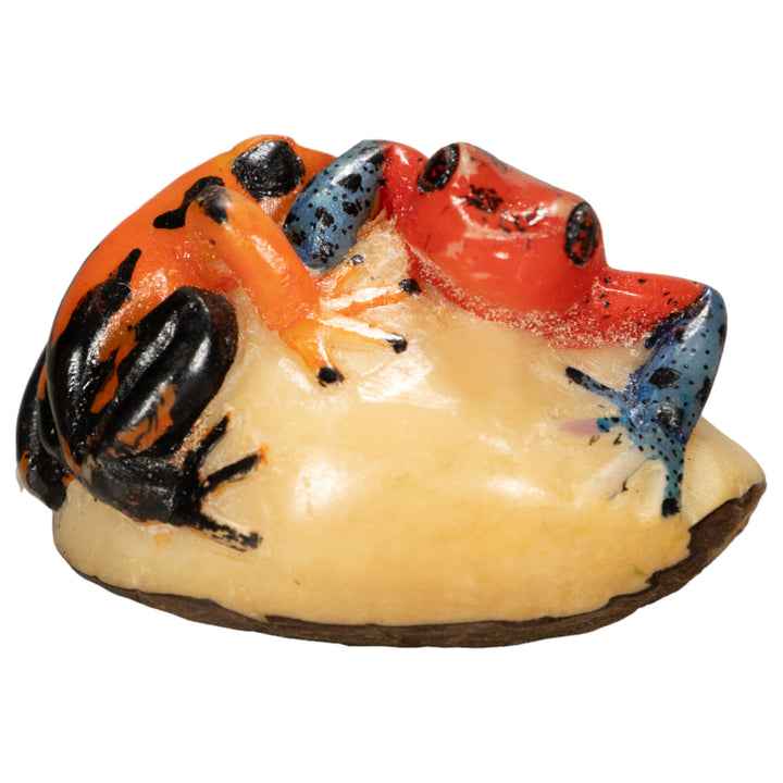 Two Poison Dart Frog Tagua Nut Carving