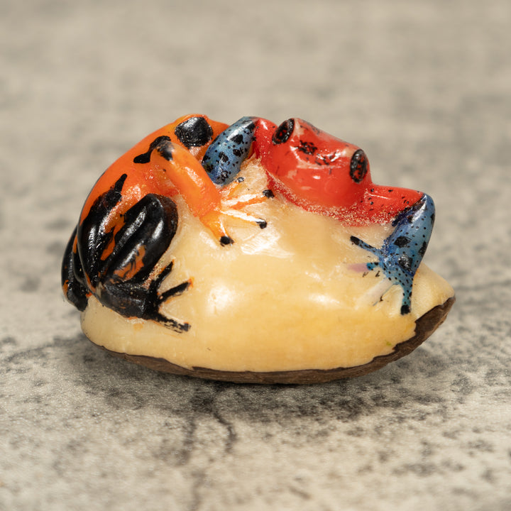 Two Poison Dart Frog Tagua Nut Carving