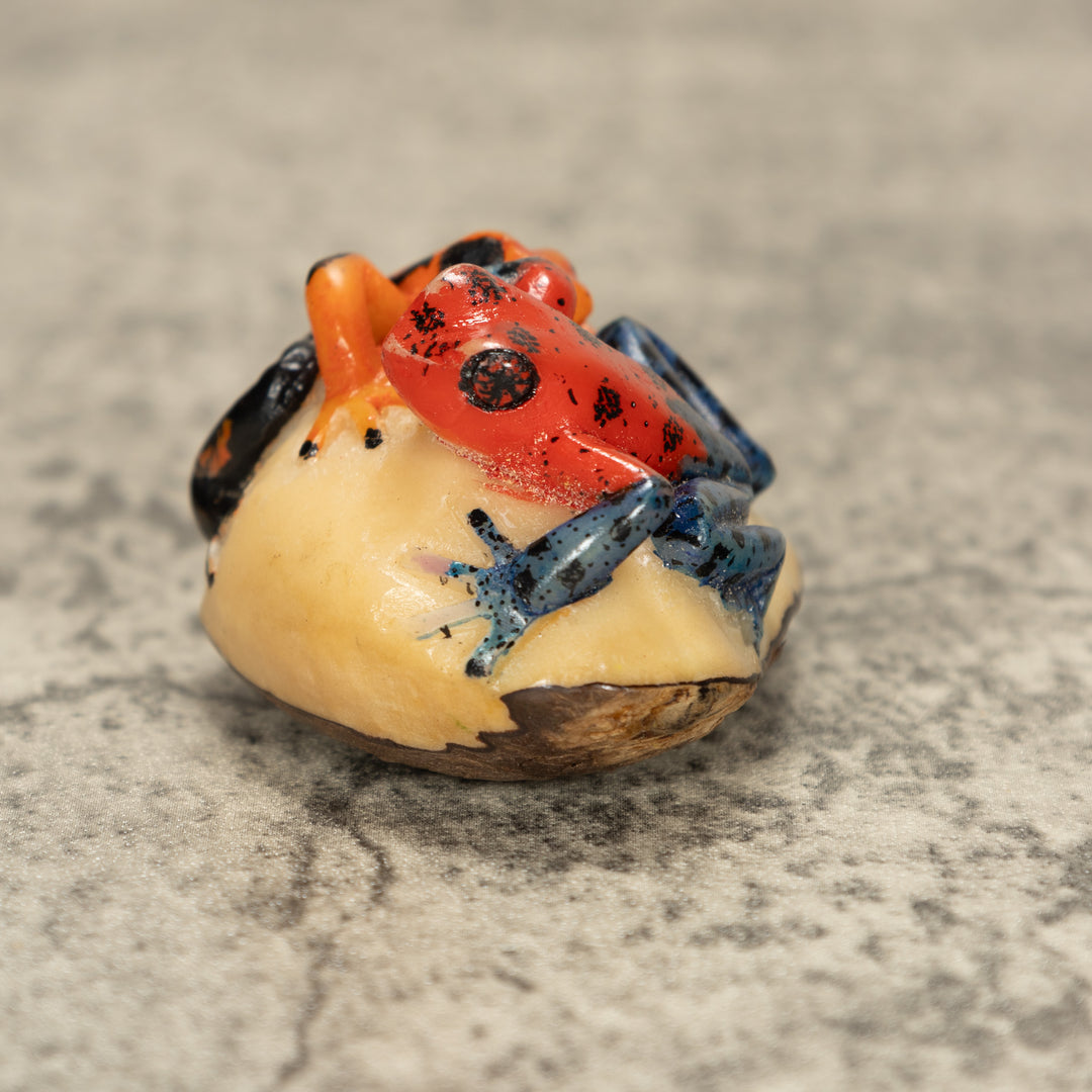Two Poison Dart Frog Tagua Nut Carving