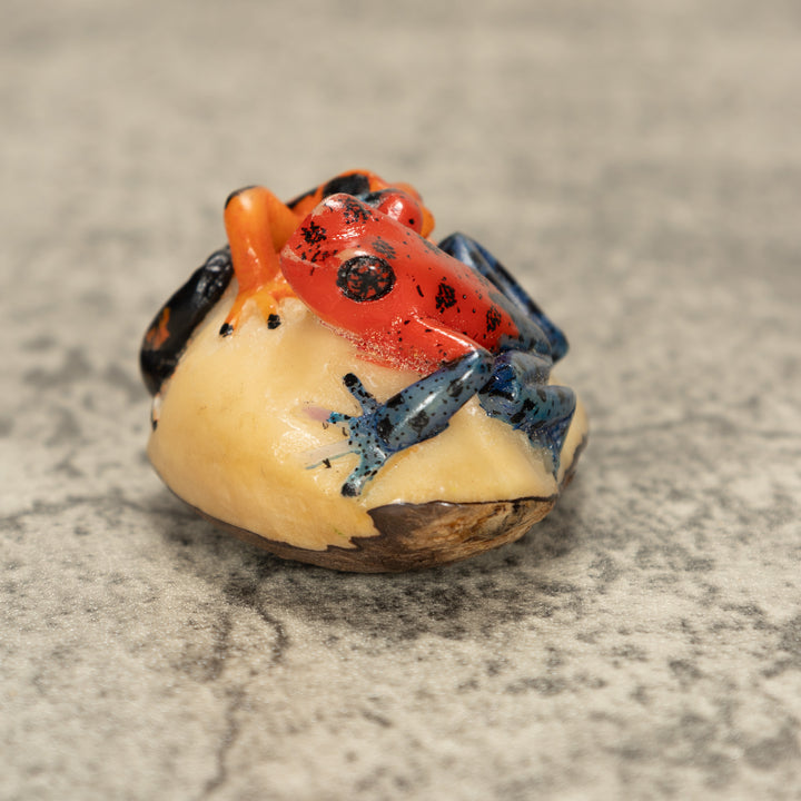 Two Poison Dart Frog Tagua Nut Carving