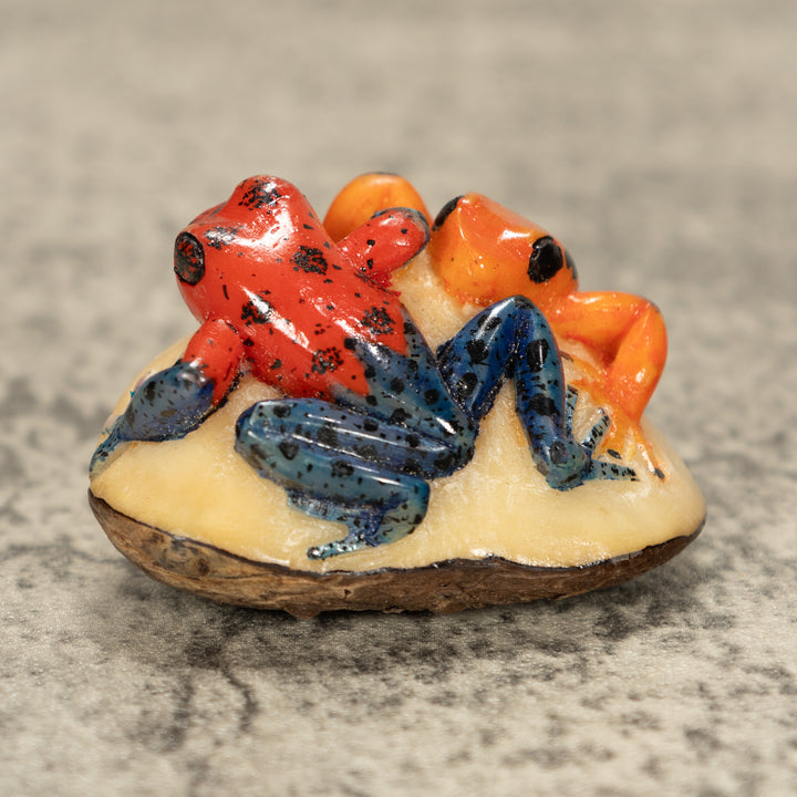 Two Poison Dart Frog Tagua Nut Carving
