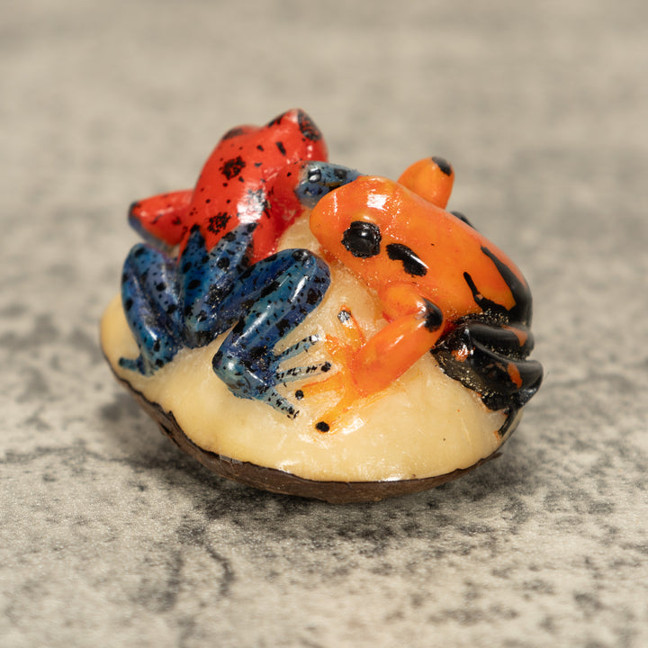 Two Poison Dart Frog Tagua Nut Carving