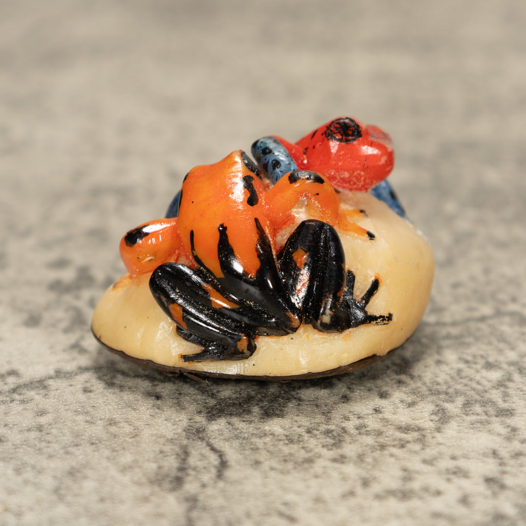 Two Poison Dart Frog Tagua Nut Carving