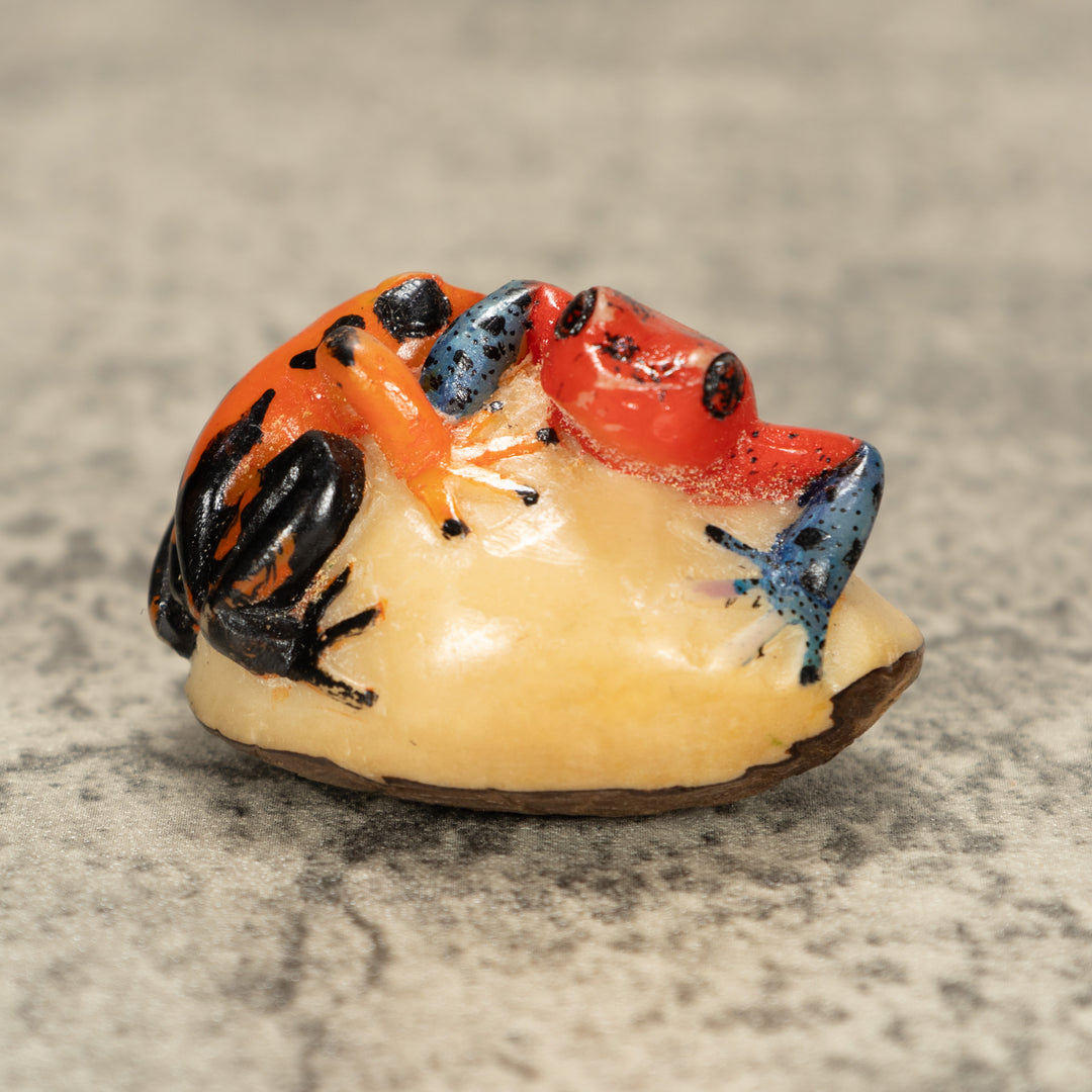 Two Poison Dart Frog Tagua Nut Carving