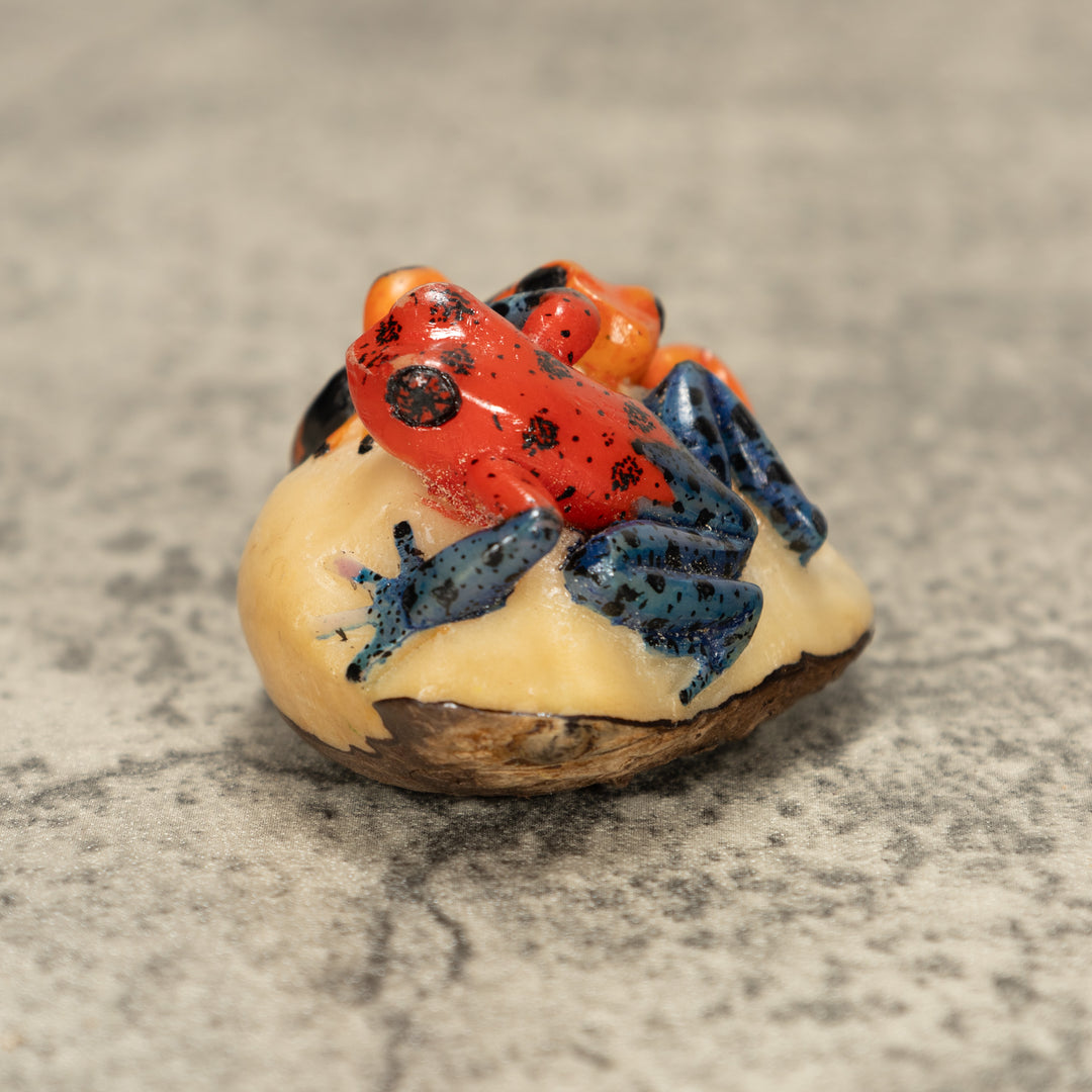 Two Poison Dart Frog Tagua Nut Carving