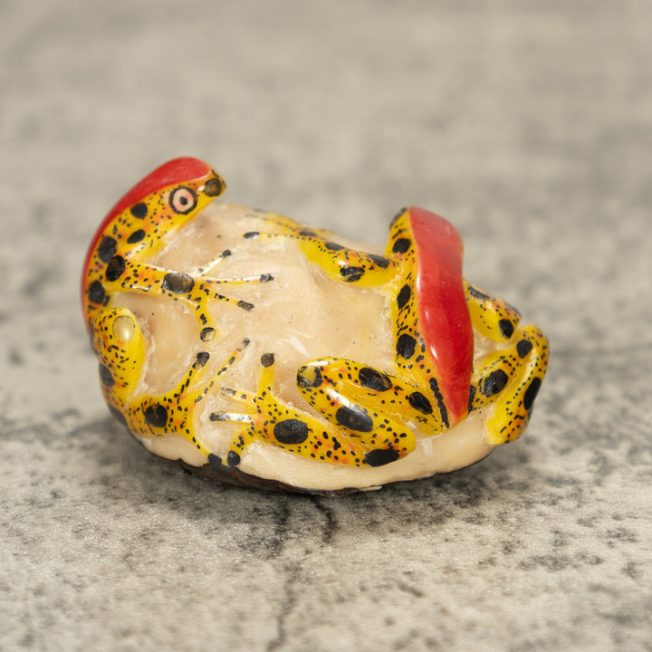 Two Poison Dart Frog Tagua Nut Carving