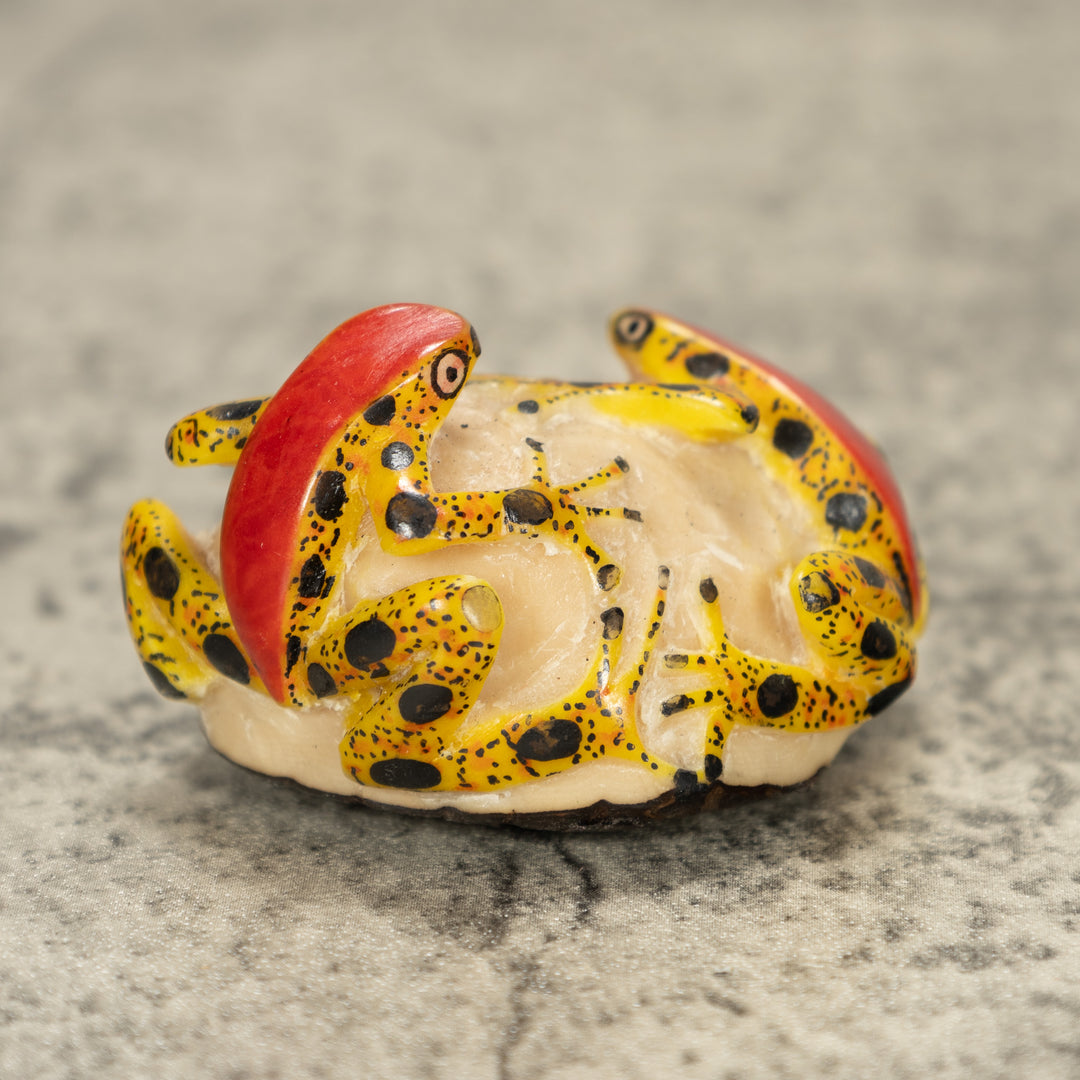 Two Poison Dart Frog Tagua Nut Carving