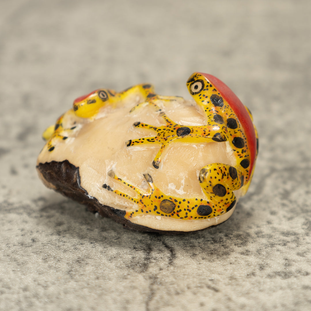 Two Poison Dart Frog Tagua Nut Carving