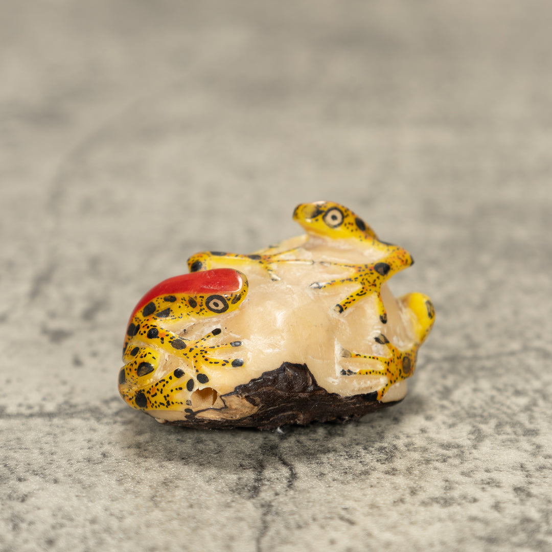 Two Poison Dart Frog Tagua Nut Carving