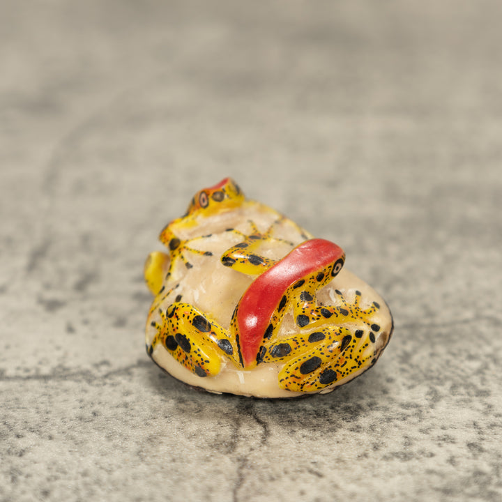 Two Poison Dart Frog Tagua Nut Carving