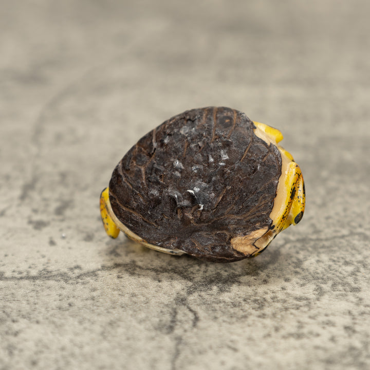 Two Poison Dart Frog Tagua Nut Carving