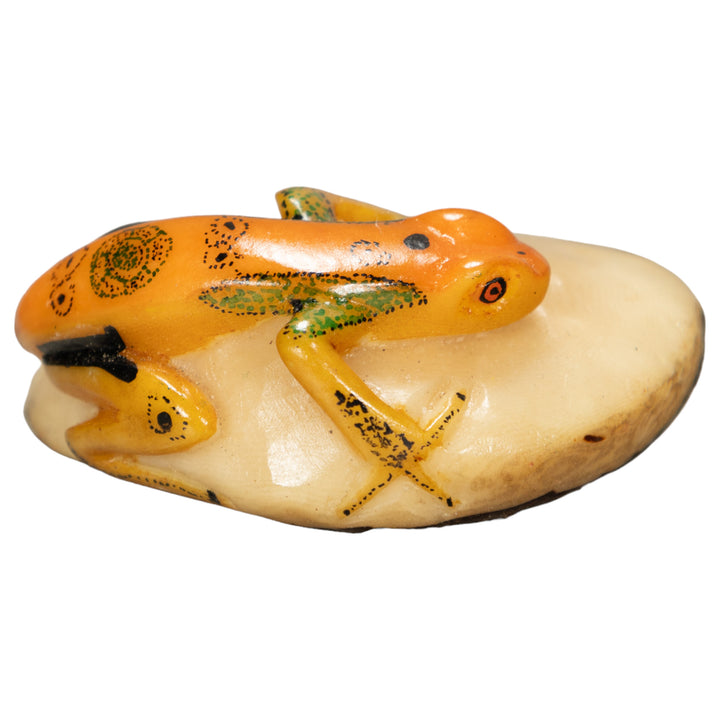 Poison Dart Frog Tagua Nut Carving