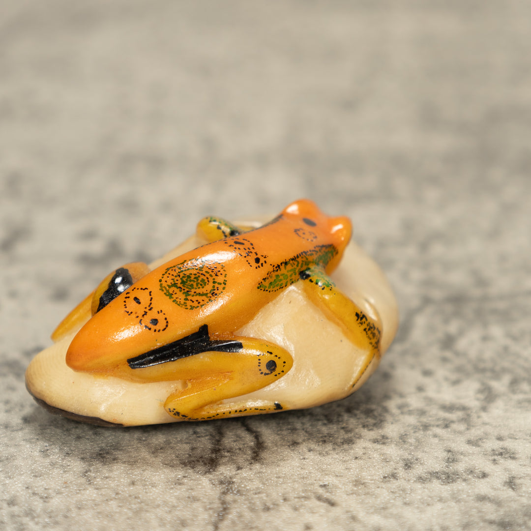 Poison Dart Frog Tagua Nut Carving