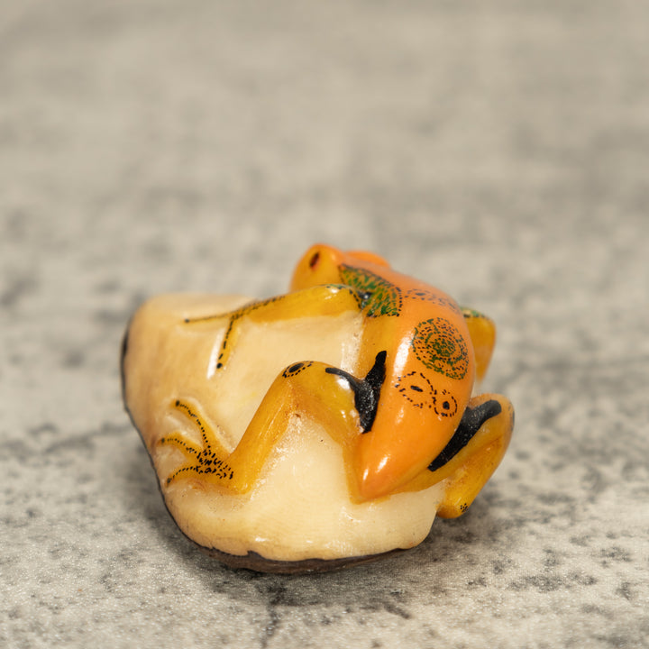Poison Dart Frog Tagua Nut Carving