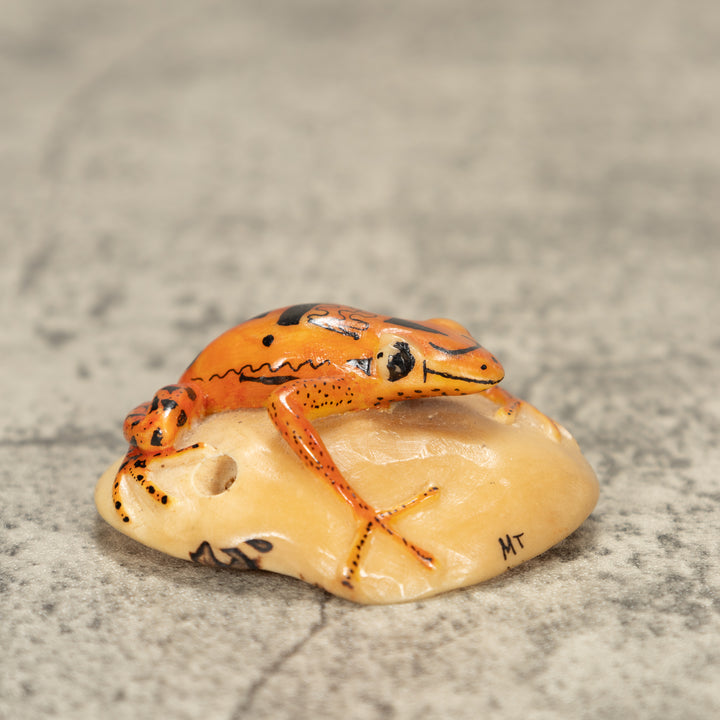 Poison Dart Frog Tagua Nut Carving