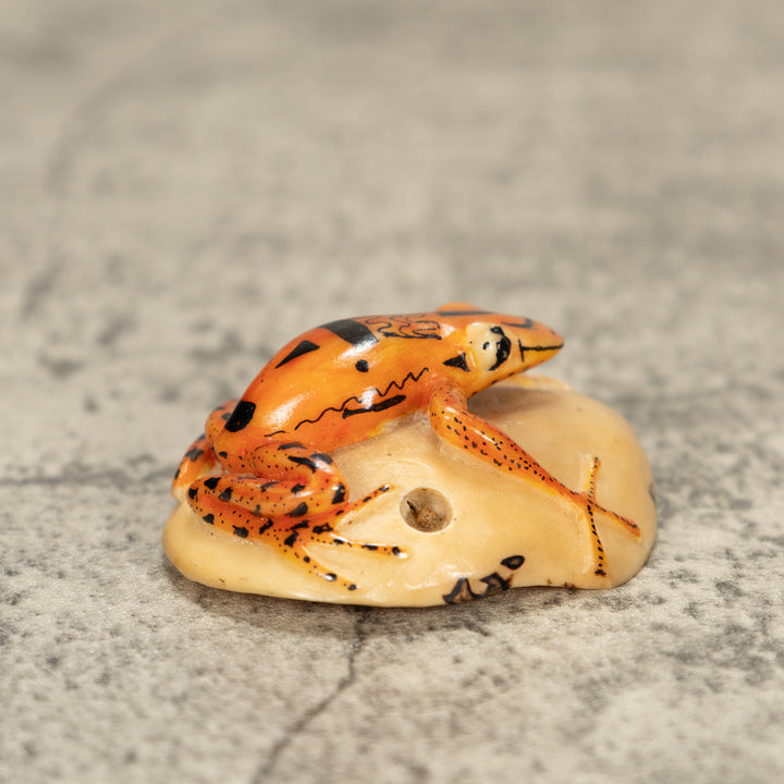 Poison Dart Frog Tagua Nut Carving