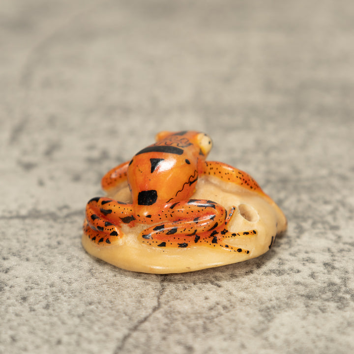 Poison Dart Frog Tagua Nut Carving