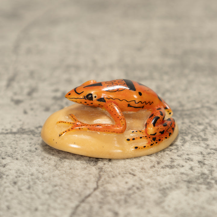 Poison Dart Frog Tagua Nut Carving