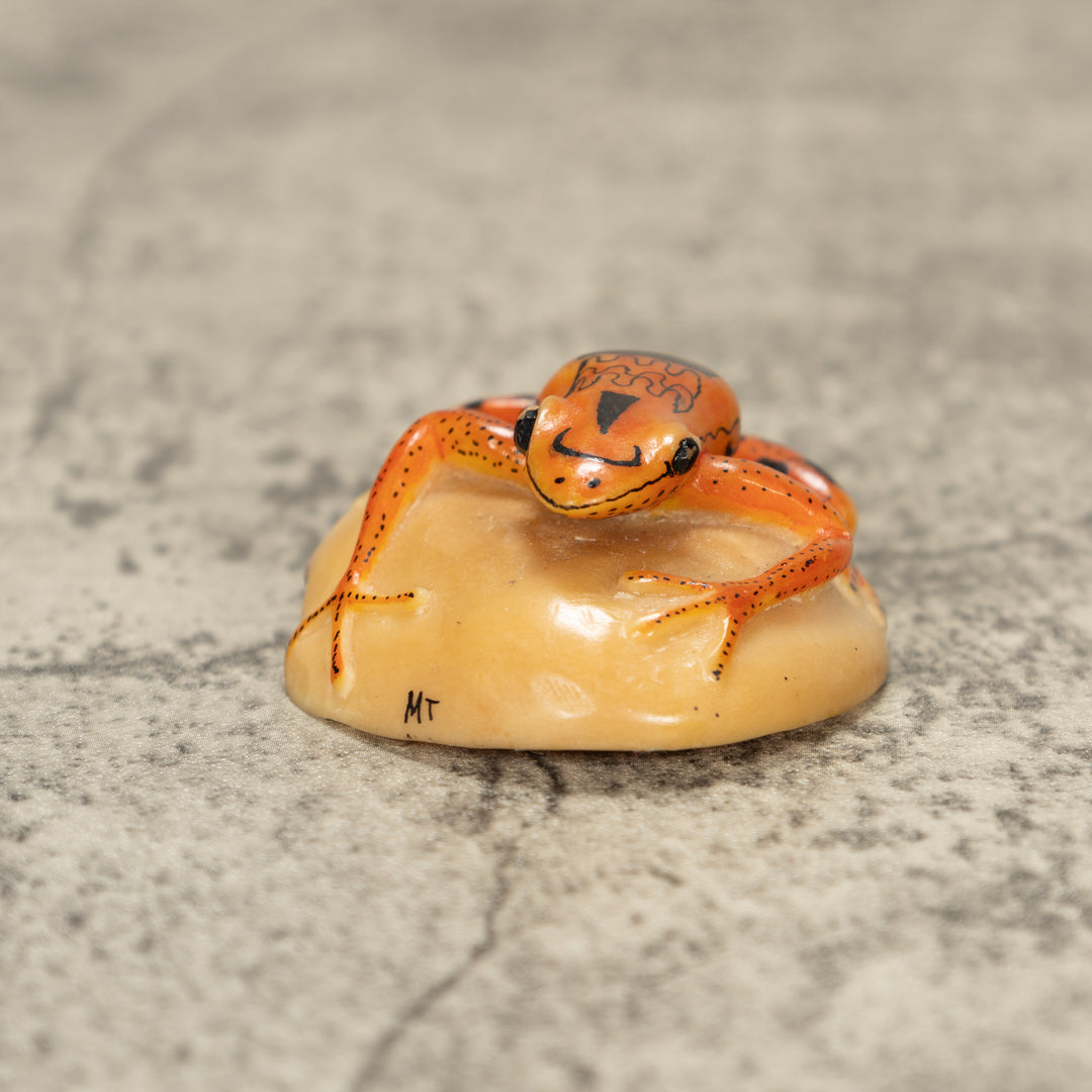 Poison Dart Frog Tagua Nut Carving