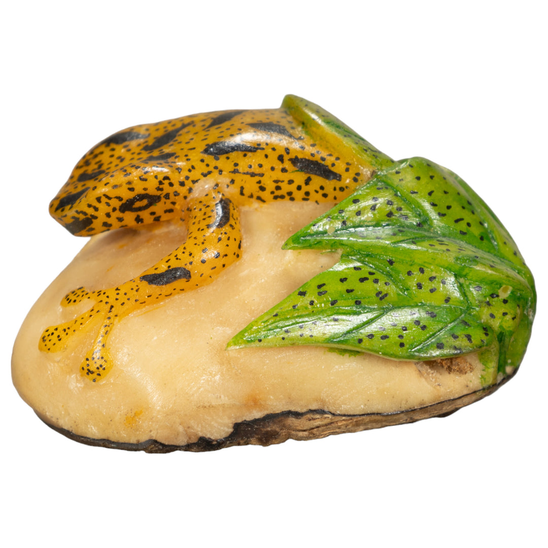 Poison Dart Frog Tagua Nut Carving