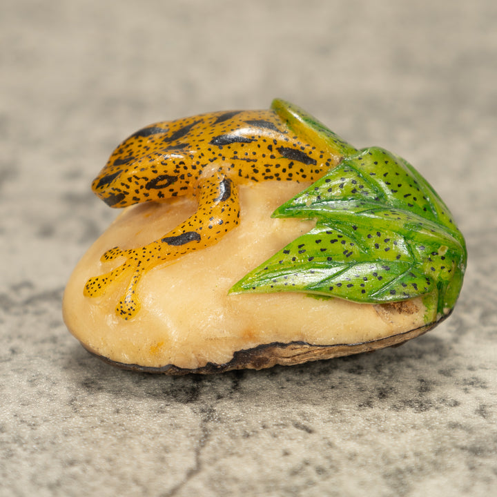 Poison Dart Frog Tagua Nut Carving