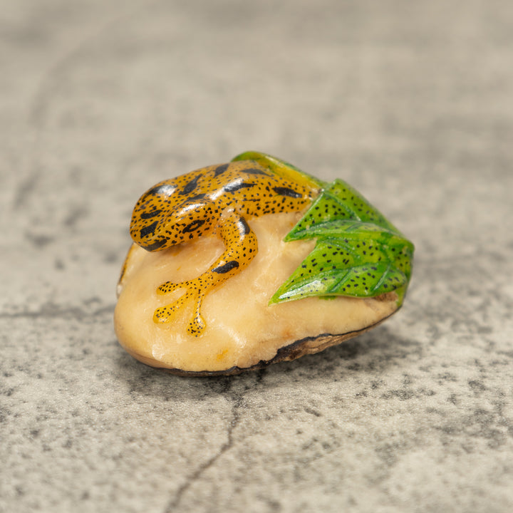 Poison Dart Frog Tagua Nut Carving