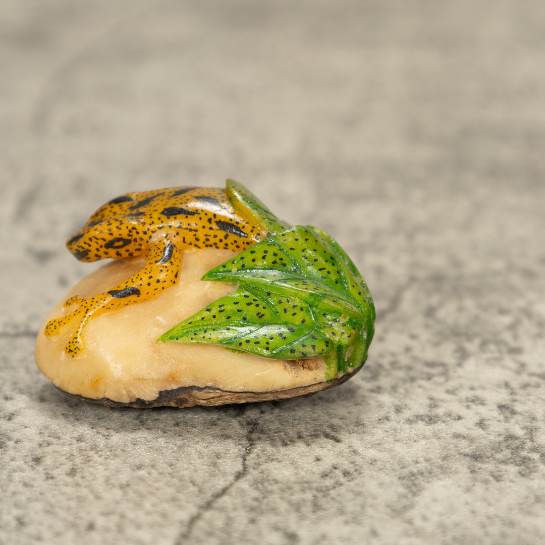 Poison Dart Frog Tagua Nut Carving