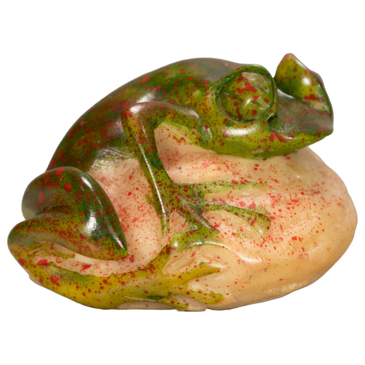 Poison Dart Frog Tagua Nut Carving