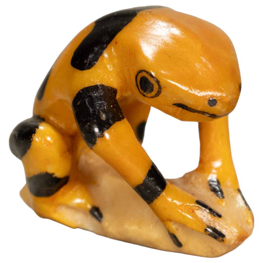 Poison Dart Frog Tagua Nut Carving