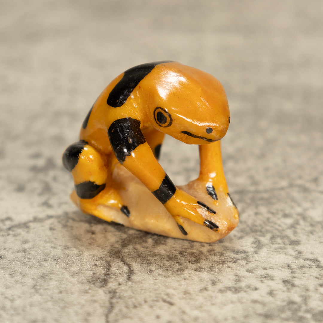 Poison Dart Frog Tagua Nut Carving