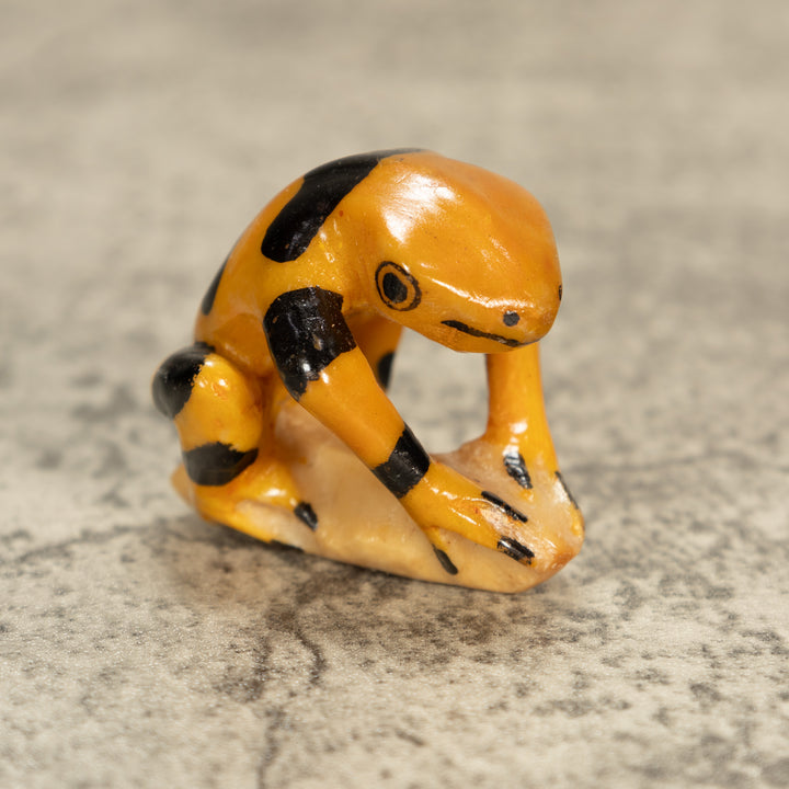 Poison Dart Frog Tagua Nut Carving