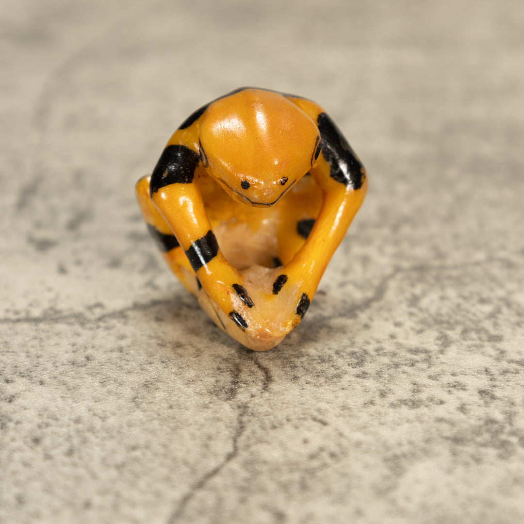 Poison Dart Frog Tagua Nut Carving