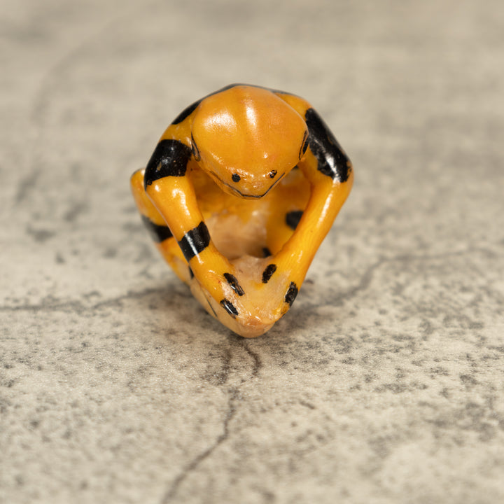 Poison Dart Frog Tagua Nut Carving