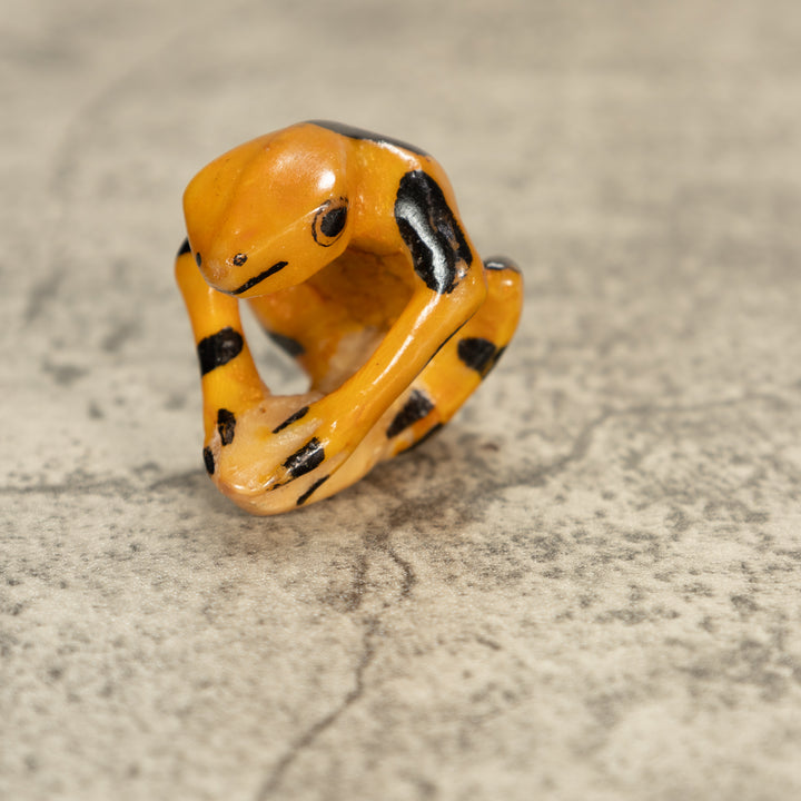 Poison Dart Frog Tagua Nut Carving