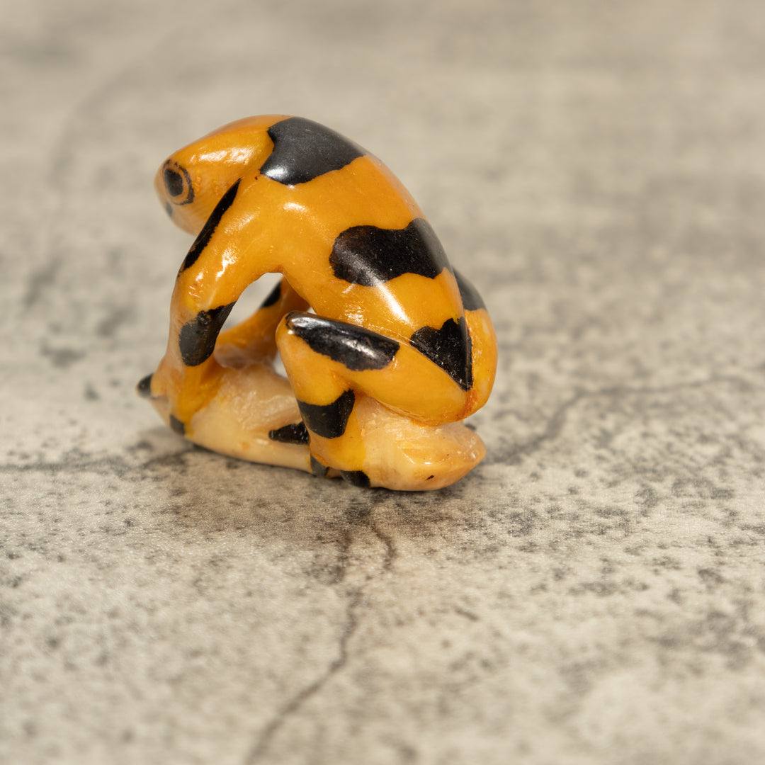 Poison Dart Frog Tagua Nut Carving